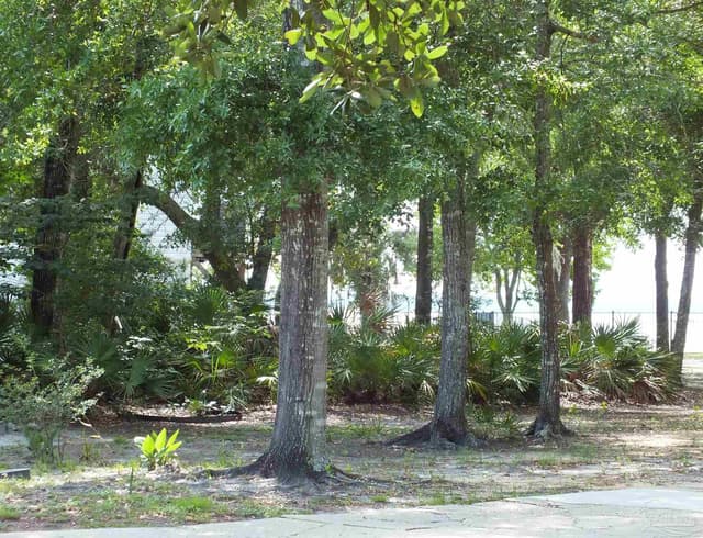 000 Eventide Rd, Milton FL 32583 photo 5