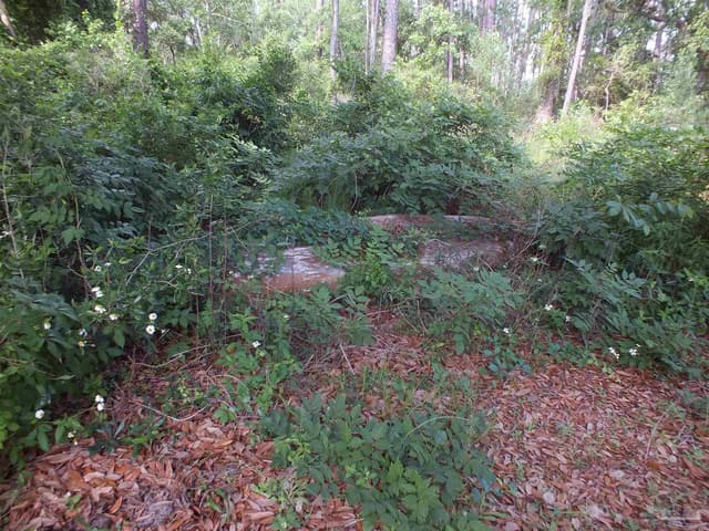 000 Eventide Rd, Milton FL 32583 photo 9