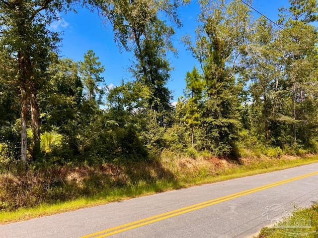 Lot 6C Cotton Lake Rd, Molino FL 32577 photo 2