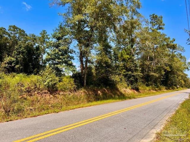 Lot 6C Cotton Lake Rd, Molino FL 32577 photo 6
