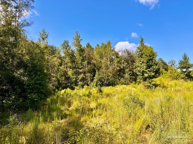 Lot 6C Cotton Lake Rd, Molino FL 32577 photo 13