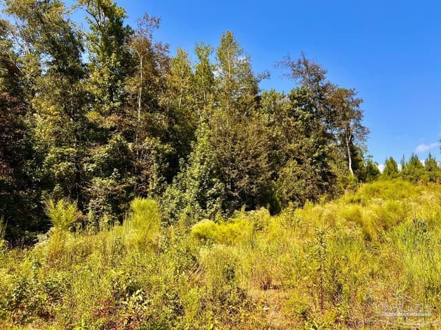 Lot 6C Cotton Lake Rd, Molino FL 32577 photo 17