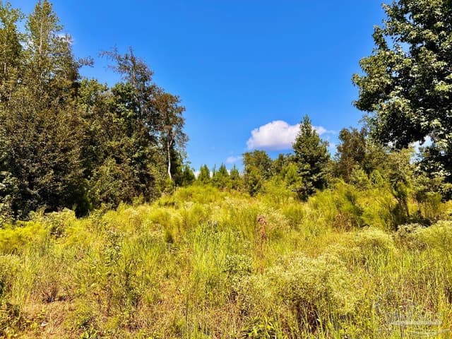 Lot 6C Cotton Lake Rd, Molino FL 32577 photo 16