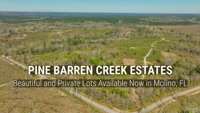Lot 6C Cotton Lake Rd, Molino FL 32577 photo 26