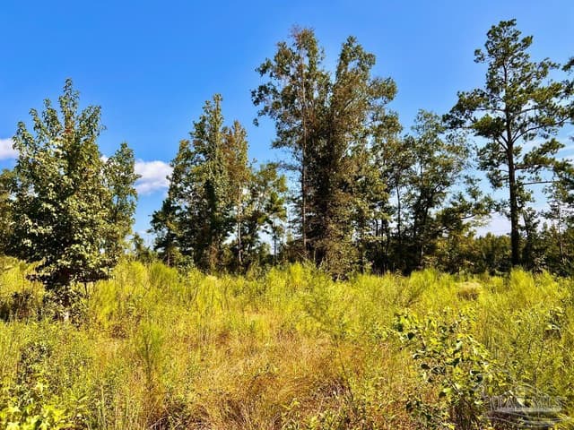 Lot 6C Cotton Lake Rd, Molino FL 32577 photo 7