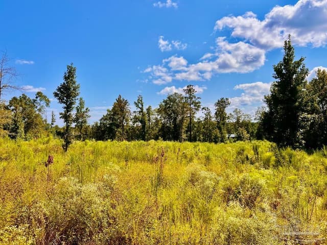 Lot 6C Cotton Lake Rd property photo