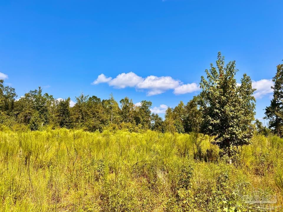 Lot 6C Cotton Lake Rd, Molino FL 32577 photo 1