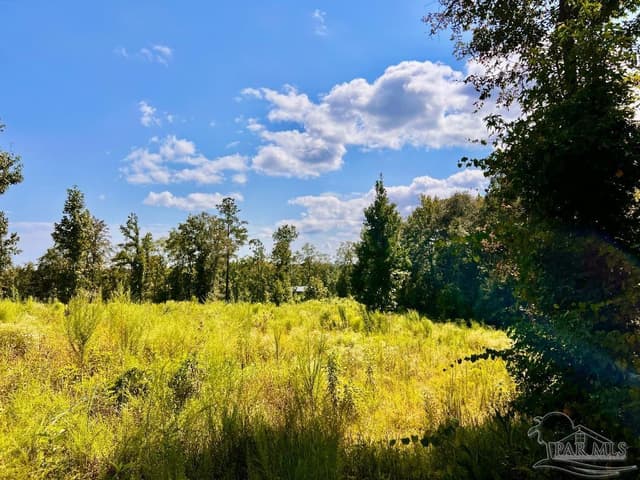 Lot 6C Cotton Lake Rd, Molino FL 32577 photo 20