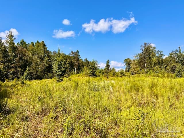 Lot 6C Cotton Lake Rd, Molino FL 32577 photo 9