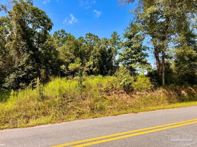 Lot 6C Cotton Lake Rd, Molino FL 32577 photo 24