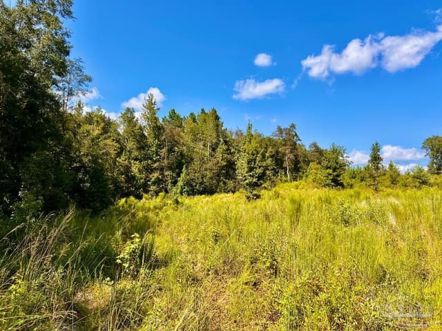 Lot 6C Cotton Lake Rd, Molino FL 32577 photo 10