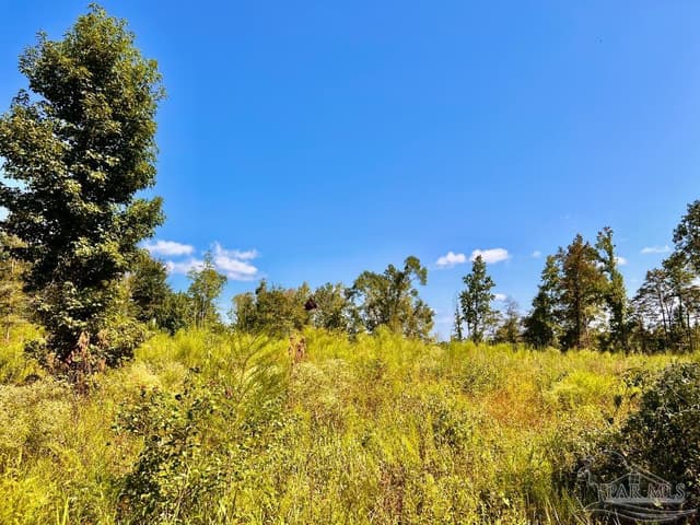 Lot 6C Cotton Lake Rd, Molino FL 32577 photo 14