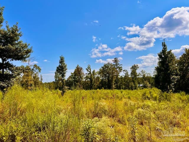 Lot 6C Cotton Lake Rd, Molino FL 32577 photo 18