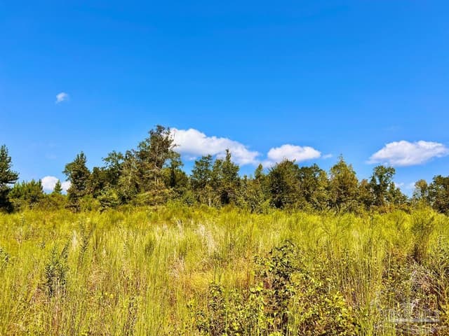 Lot 6C Cotton Lake Rd, Molino FL 32577 photo 11