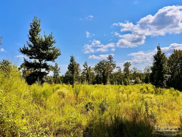 Lot 6C Cotton Lake Rd, Molino FL 32577 photo 19