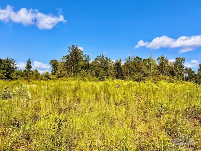 Lot 6C Cotton Lake Rd, Molino FL 32577 photo 8