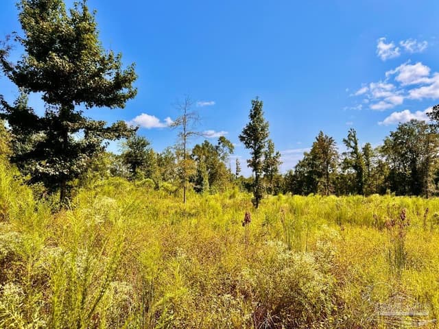 Lot 6C Cotton Lake Rd, Molino FL 32577 photo 21