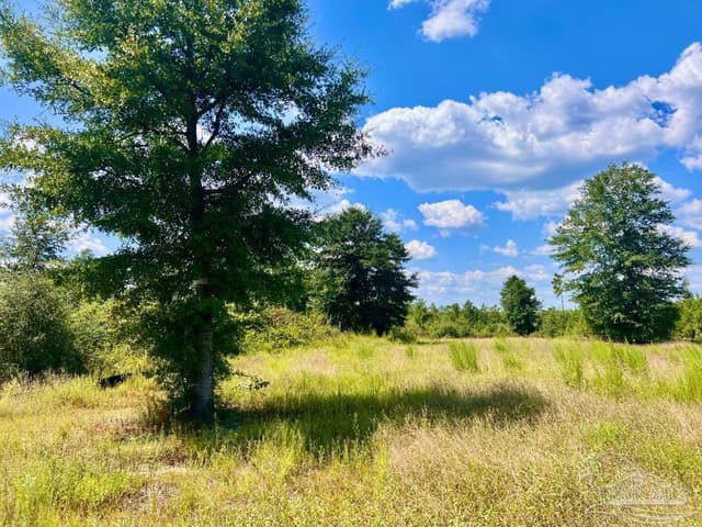 Lot 14 Morgans Branch, Molino FL 32577 photo 2