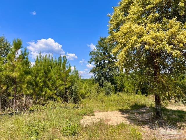 Lot 14 Morgans Branch, Molino FL 32577 photo 17
