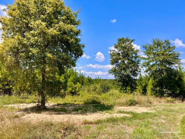 Lot 14 Morgans Branch, Molino FL 32577 photo 16