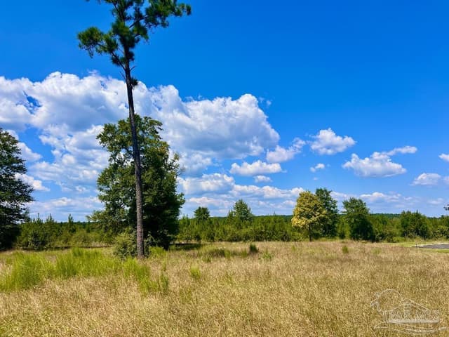 Lot 14 Morgans Branch, Molino FL 32577 exterior