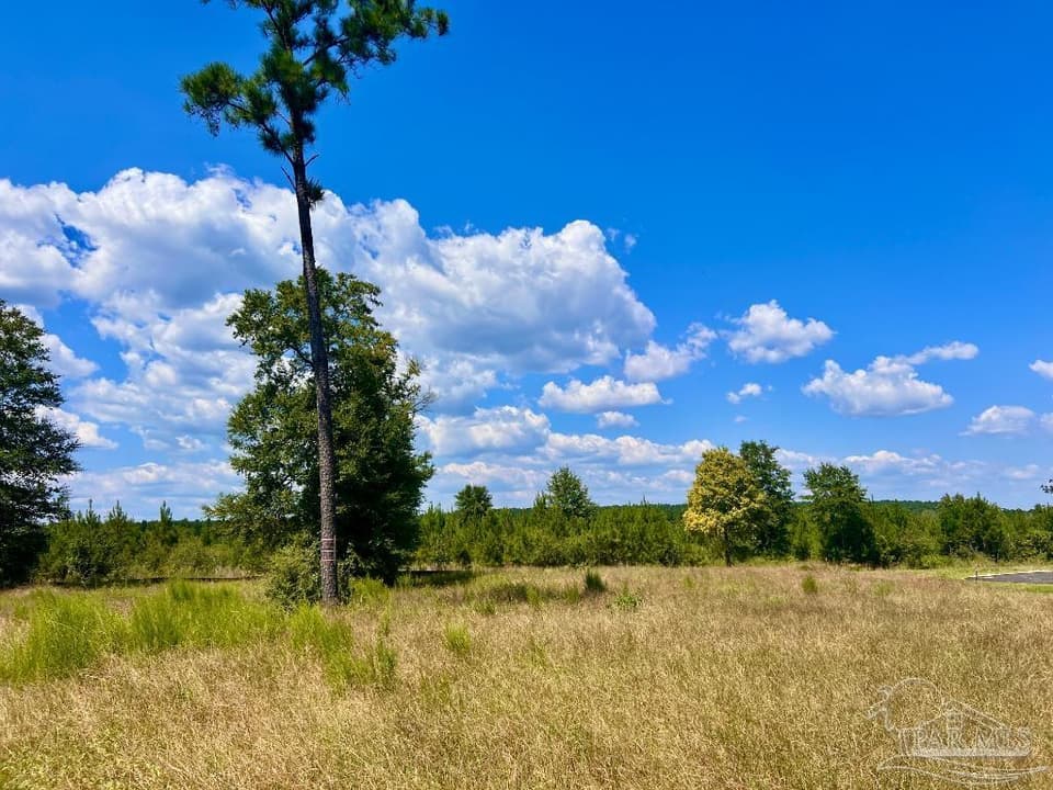 Lot 14 Morgans Branch, Molino FL 32577 photo 1
