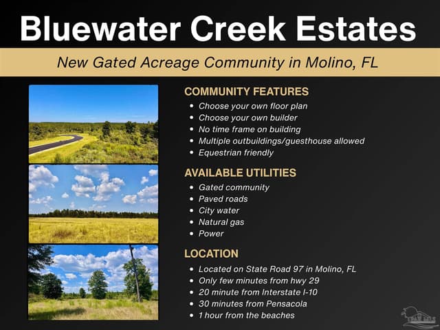Lot 14 Morgans Branch, Molino FL 32577 photo 24