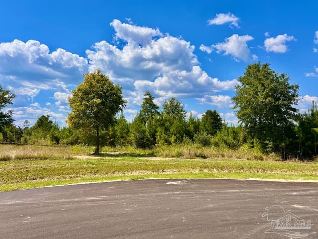 Lot 14 Morgans Branch, Molino FL 32577 photo 14