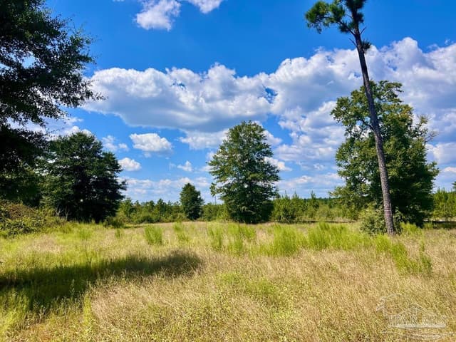 Lot 14 Morgans Branch, Molino FL 32577 photo 11