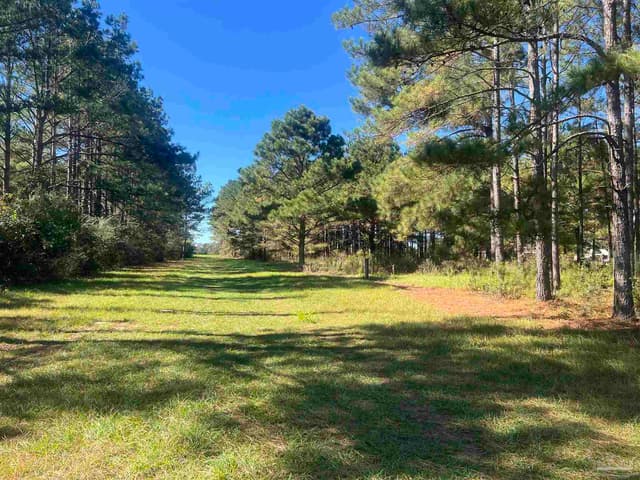 4900 Block Hwy 97, Walnut Hill FL 32568 exterior