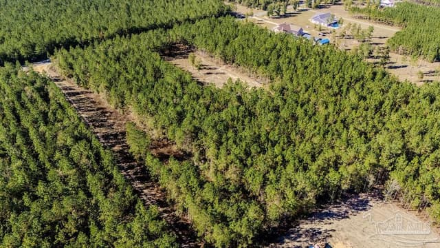 9058 Greyrock Landing Rd, Pace FL 32571 photo 22