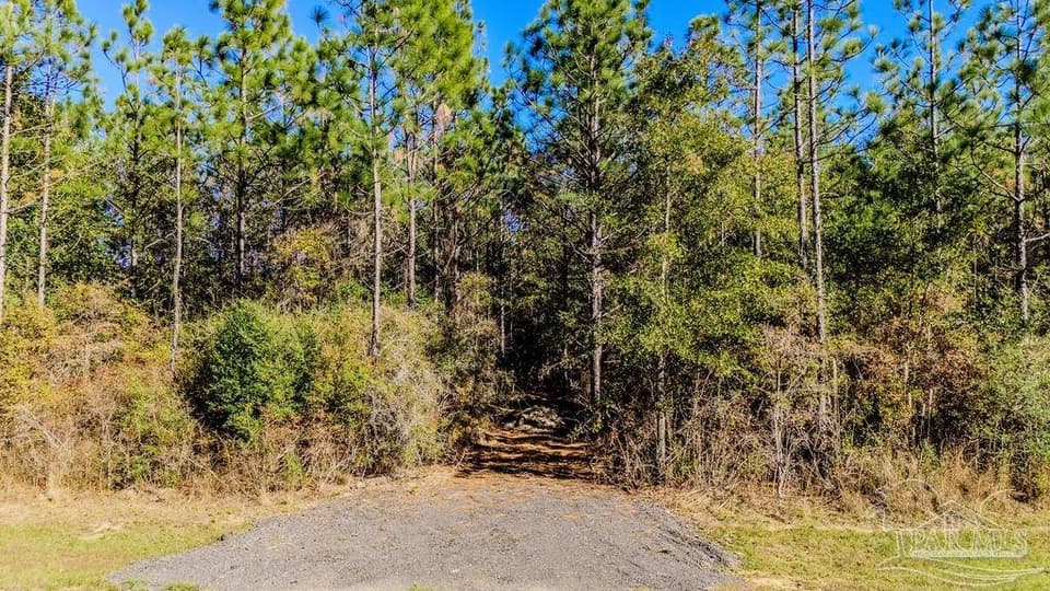 9058 Greyrock Landing Rd, Pace FL 32571 photo 1