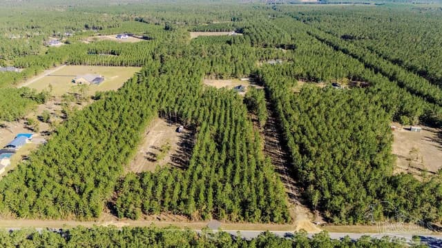 9058 Greyrock Landing Rd, Pace FL 32571 photo 20