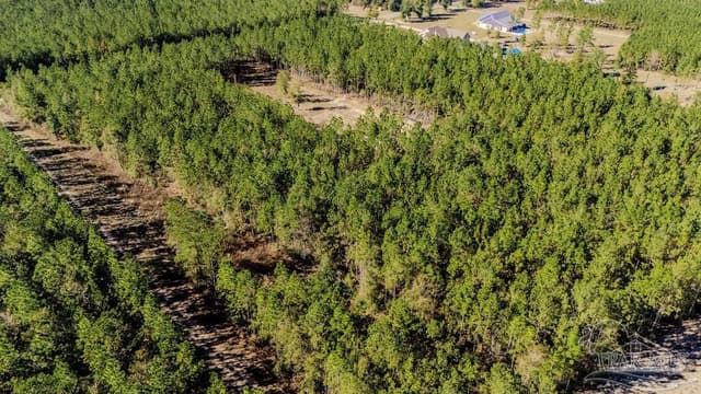 9058 Greyrock Landing Rd, Pace FL 32571 photo 18