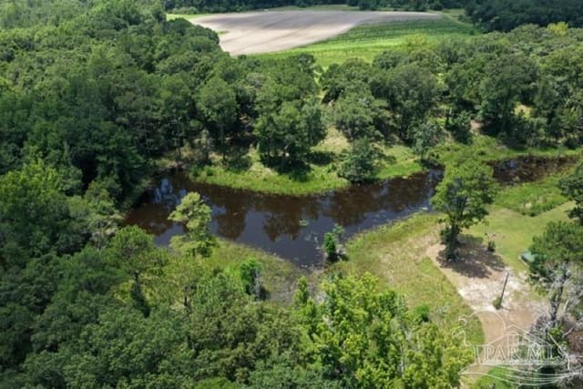 7470 Hwy 29, Andalusia AL 36420 photo 32
