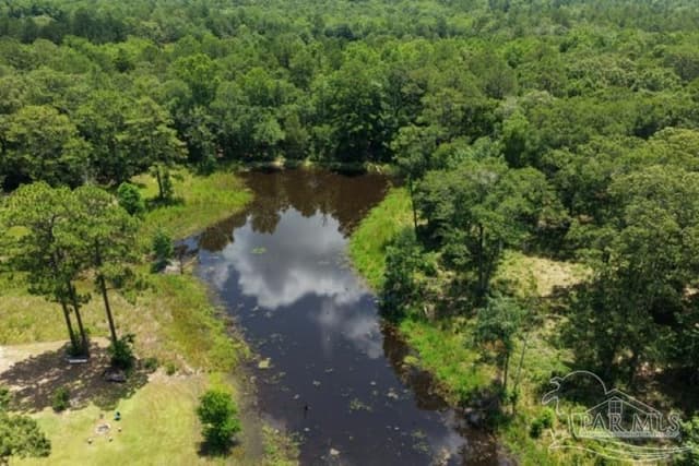 7470 Hwy 29, Andalusia AL 36420 photo 30