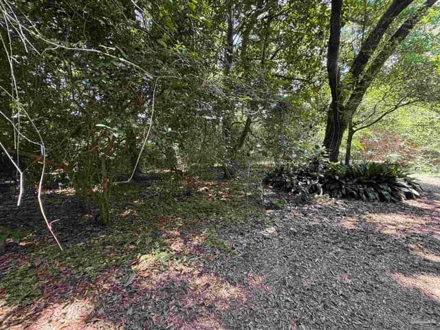 6305 W Jackson St, Pensacola FL 32506 photo 13