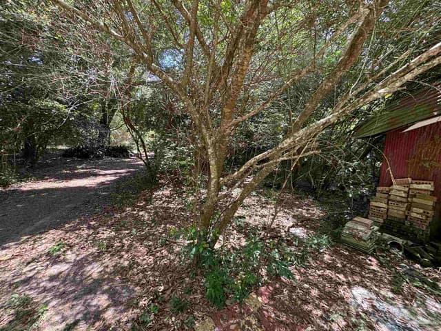 6305 W Jackson St, Pensacola FL 32506 photo 12