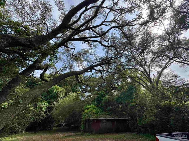 6305 Jackson St property photo