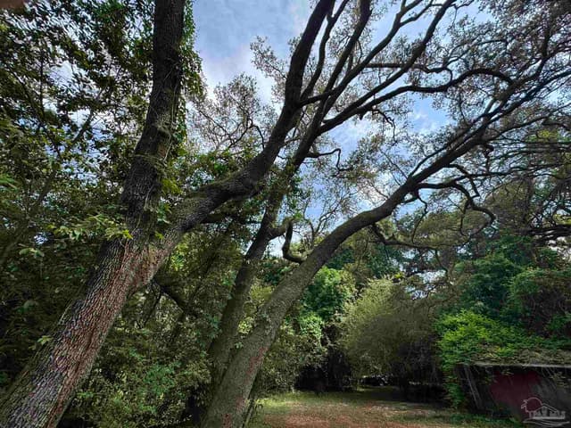 6305 Jackson St property photo