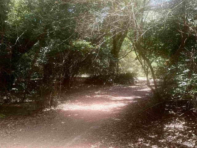 6305 W Jackson St, Pensacola FL 32506 photo 9