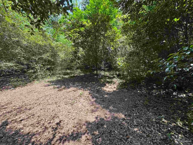 6305 W Jackson St, Pensacola FL 32506 photo 18