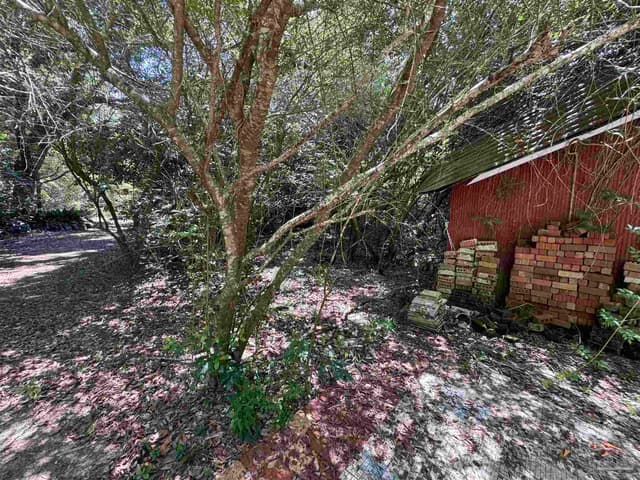6305 W Jackson St, Pensacola FL 32506 photo 11