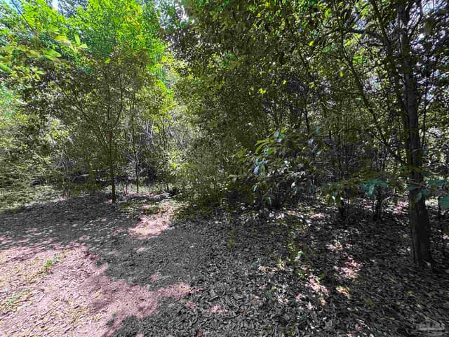 6305 W Jackson St, Pensacola FL 32506 photo 19