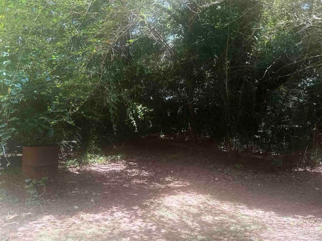 6305 W Jackson St, Pensacola FL 32506 photo 8