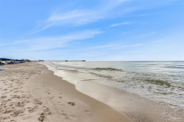 533 E Beach Blvd # 2503, Gulf Shores AL 36542 photo 54