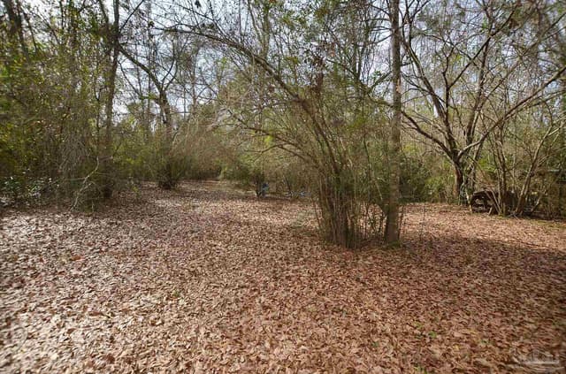 6475 Chestnut Rd, Molino FL 32577 photo 42