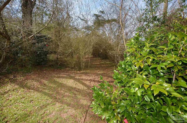 6475 Chestnut Rd, Molino FL 32577 photo 65