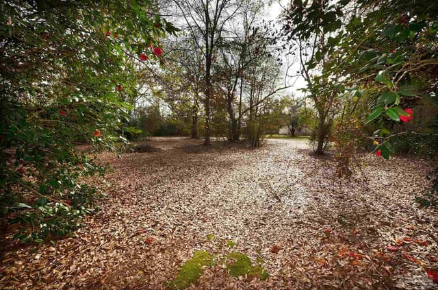 6475 Chestnut Rd, Molino FL 32577 photo 41