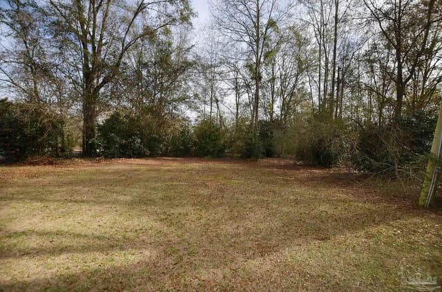 6475 Chestnut Rd, Molino FL 32577 photo 39